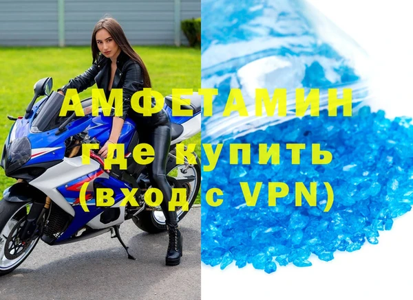сатива Коряжма