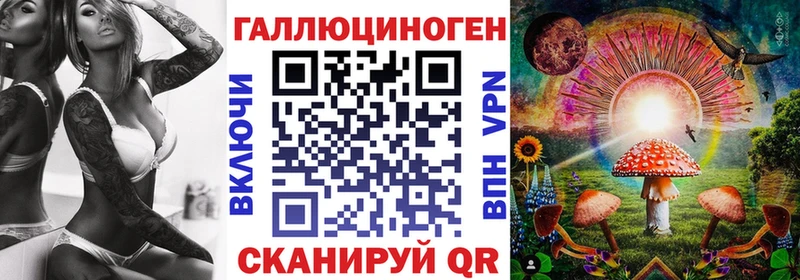Галлюциногенные грибы Cubensis  Купить закладки  Каргополь 