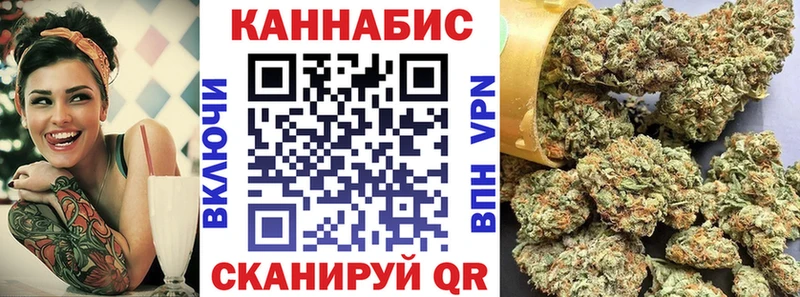 Купить закладки  Каргополь  Бошки Шишки планчик 